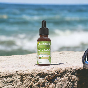 Gotu Kola Tincture - Supports Mental Clarity & Skin Health: Alcohol Free / 1 fl oz
