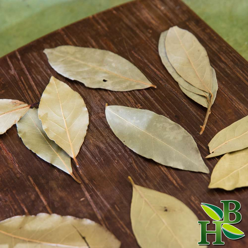 Bay Leaves (Whole) | Herbal Tea & Digestive Support (50g)