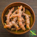 Turmeric Root
