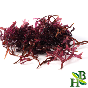 Irish Sea Moss Powder