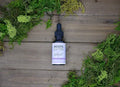 Goldenrod Herbal Tincture | 1 oz