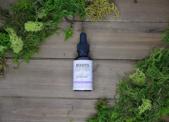 Goldenrod Herbal Tincture | 1 oz