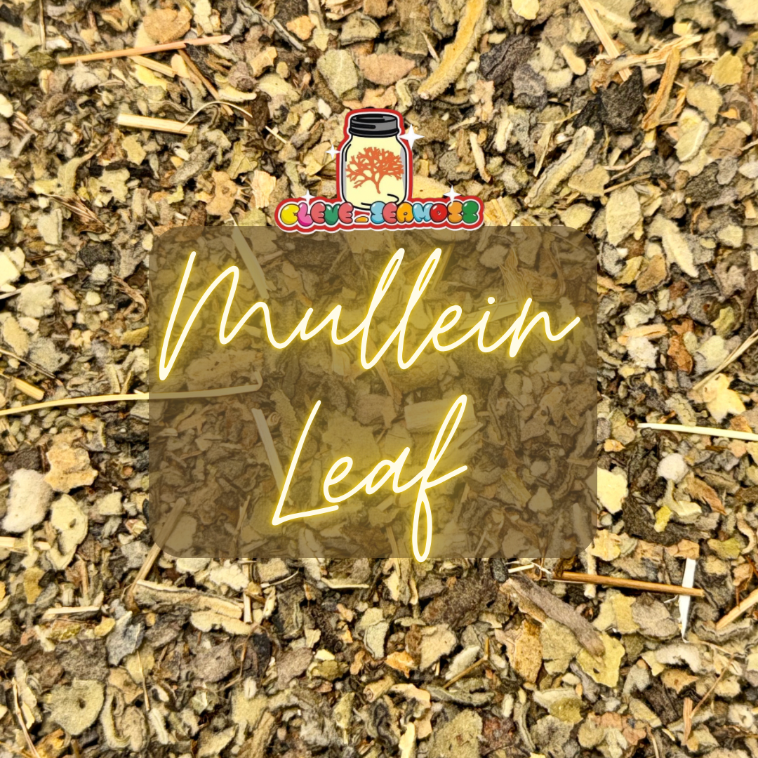 Mullein Leaf Tea | Respiratory & Mucus Support Herb