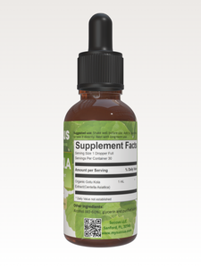 Gotu Kola Tincture - Supports Mental Clarity & Skin Health: Alcohol Free / 1 fl oz