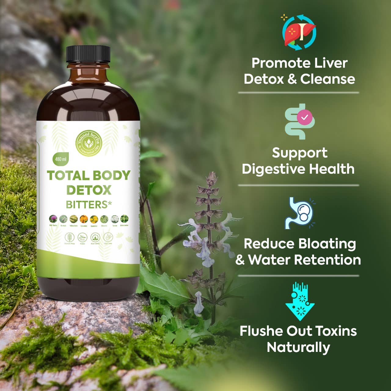 Total Body Detox Living Bitters (Not for beginners)