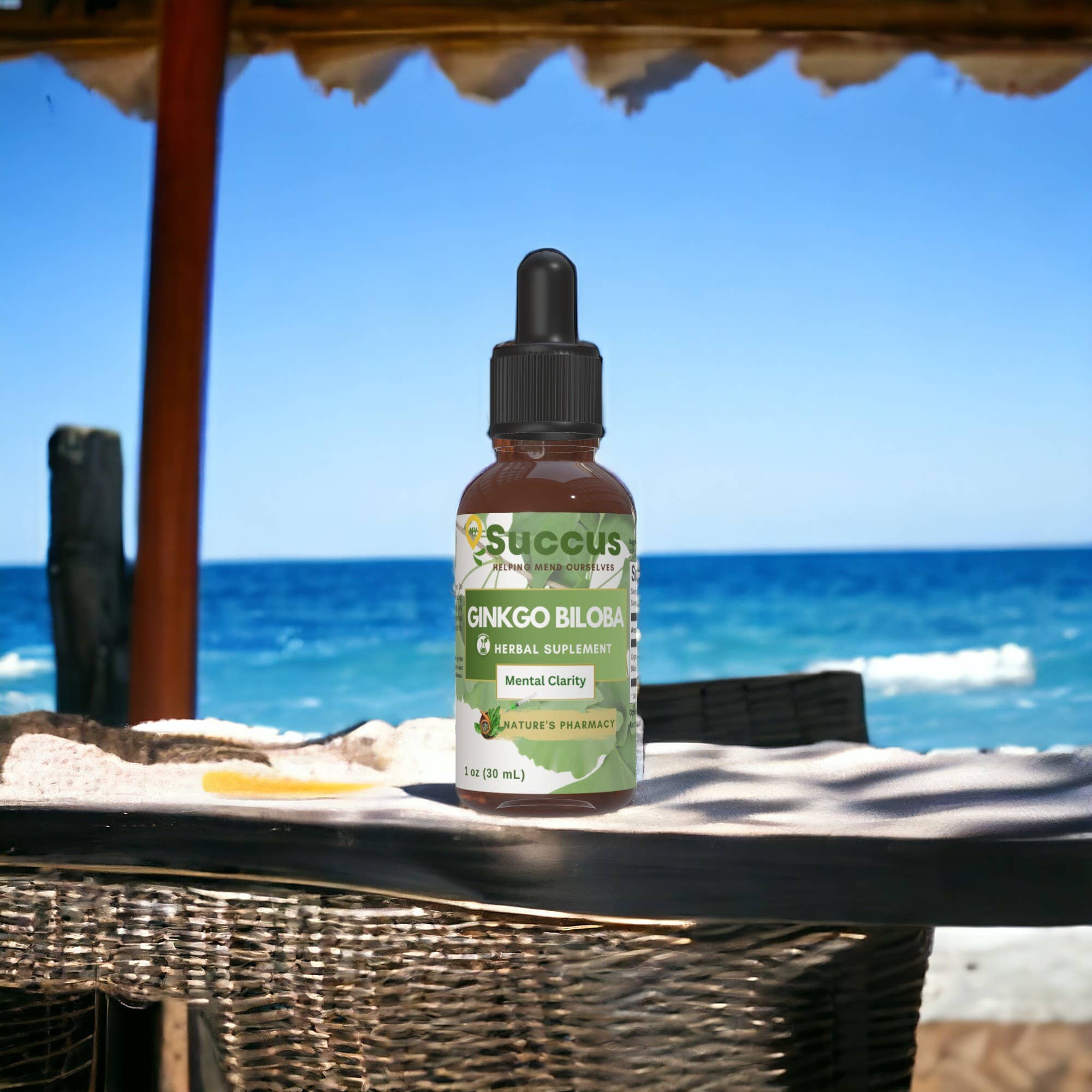 Ginkgo Biloba Tincture - Supports Mental Clarity & Focus: Alcohol Free / 1 fl oz