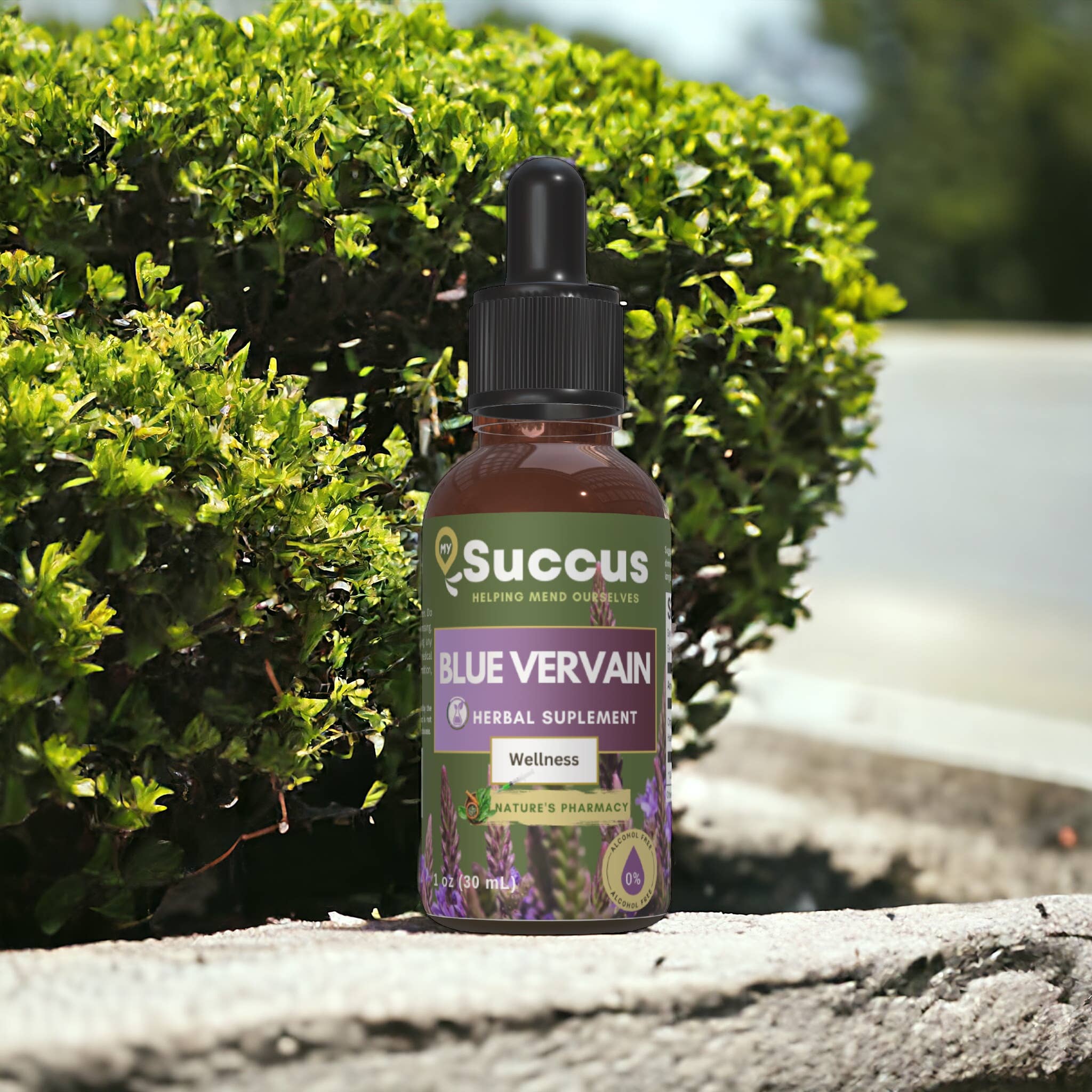 Blue Vervain Tincture - Calming, Herbal & Naturally Soothing: Alcohol Free / 1 fl oz