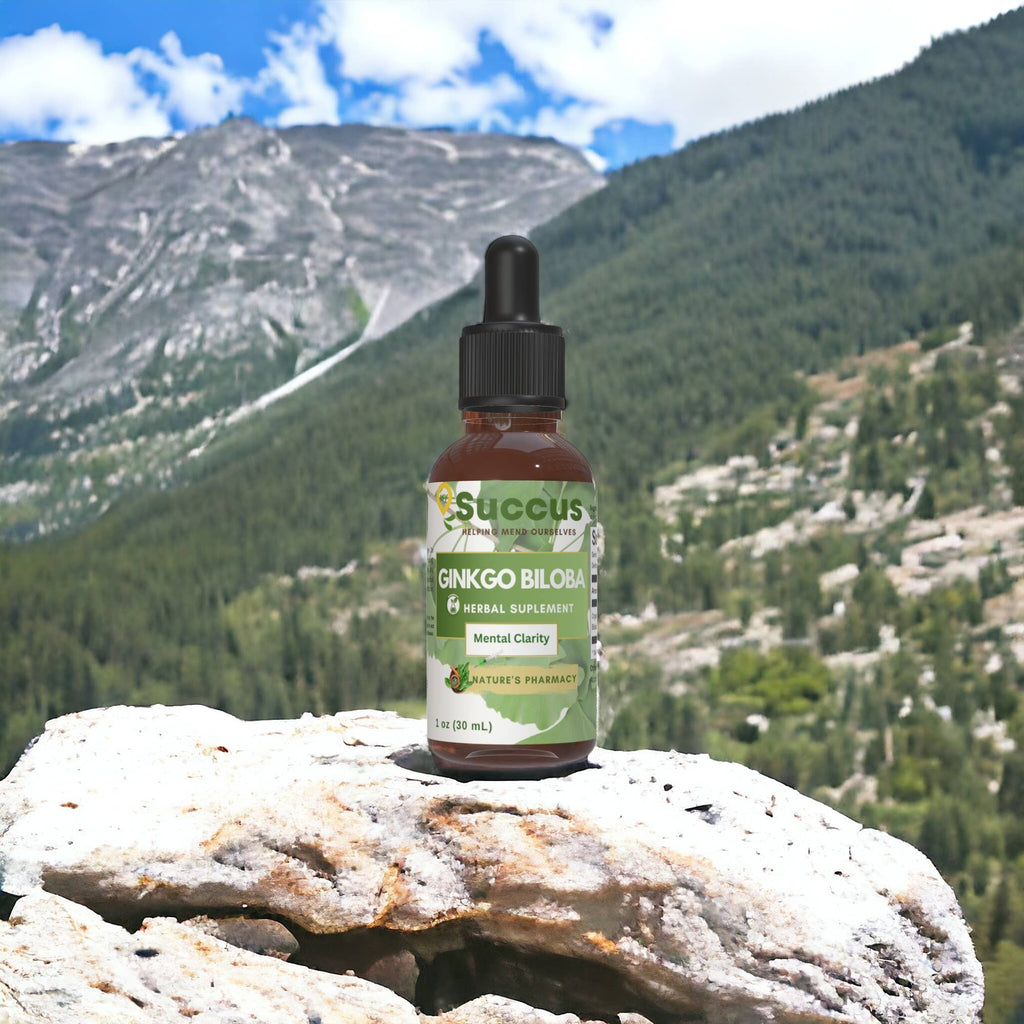 Ginkgo Biloba Tincture - Supports Mental Clarity & Focus: Alcohol Free / 1 fl oz