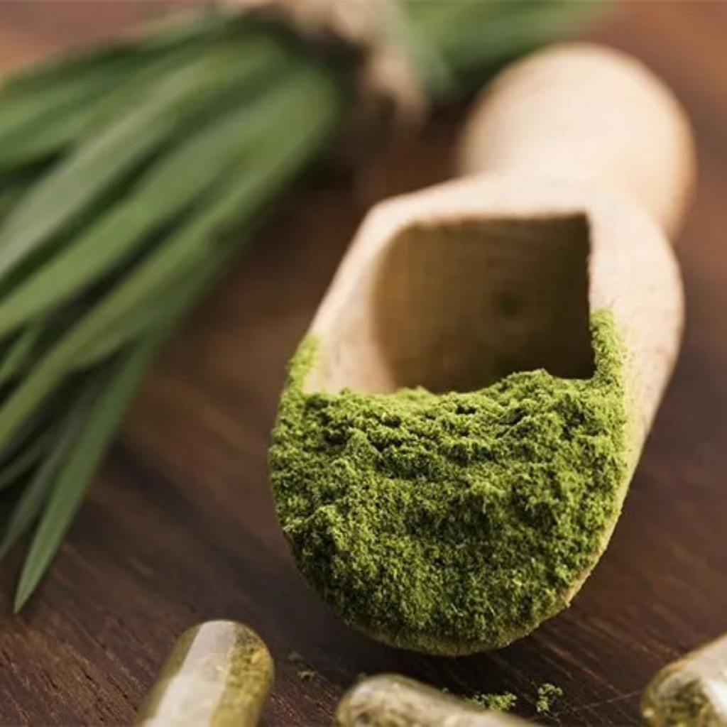 Barley Grass Powder (Alkalizing Supergreen • Detox Support • Energy &amp; Nutrient Boost)