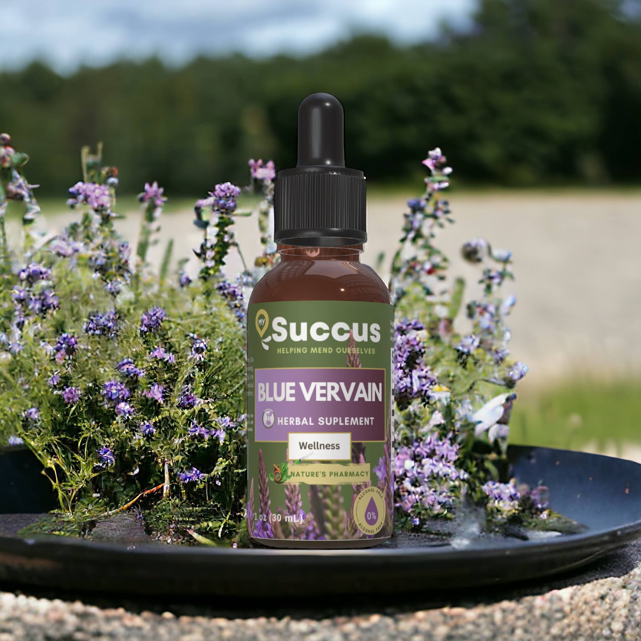 Blue Vervain Tincture - Calming, Herbal & Naturally Soothing: Alcohol Free / 1 fl oz