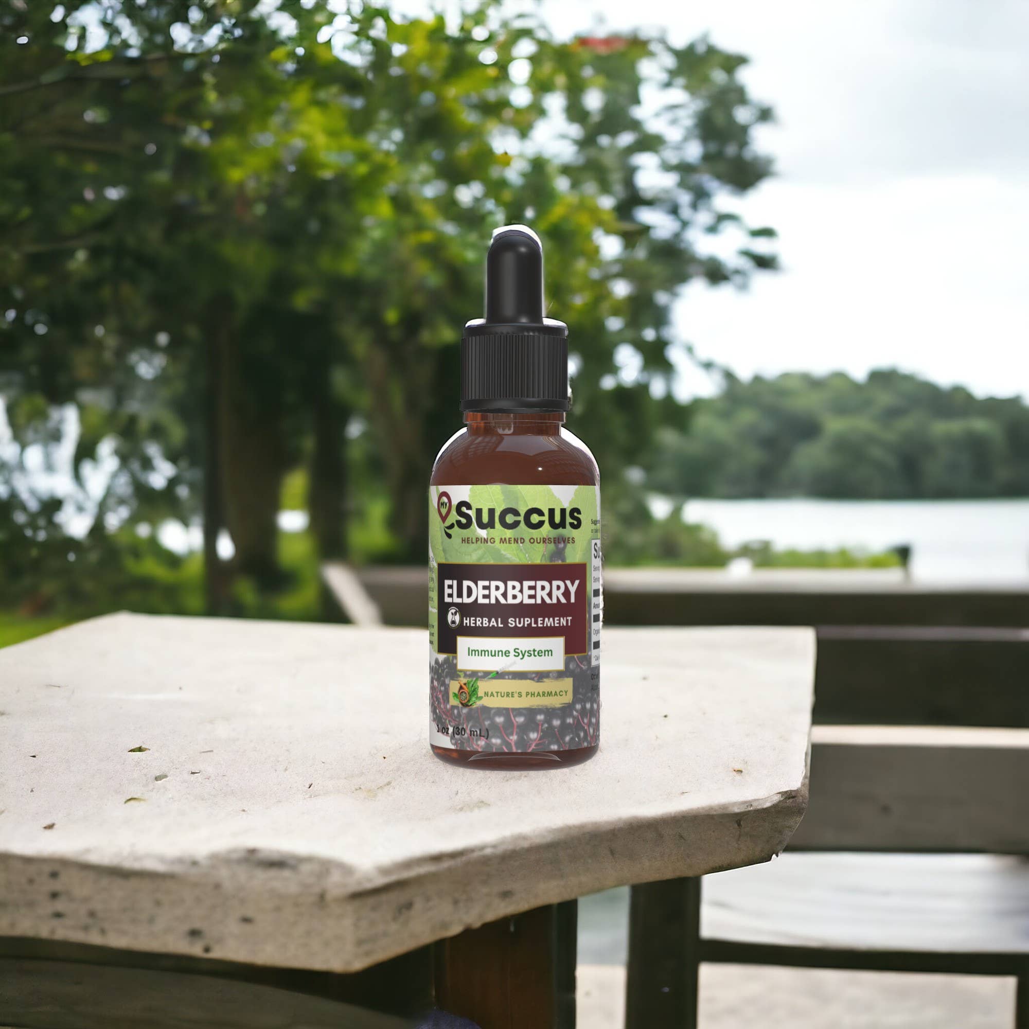 Elderberry Tincture - Herbal Support for Immune Wellness: Alcohol Free / 1 fl oz