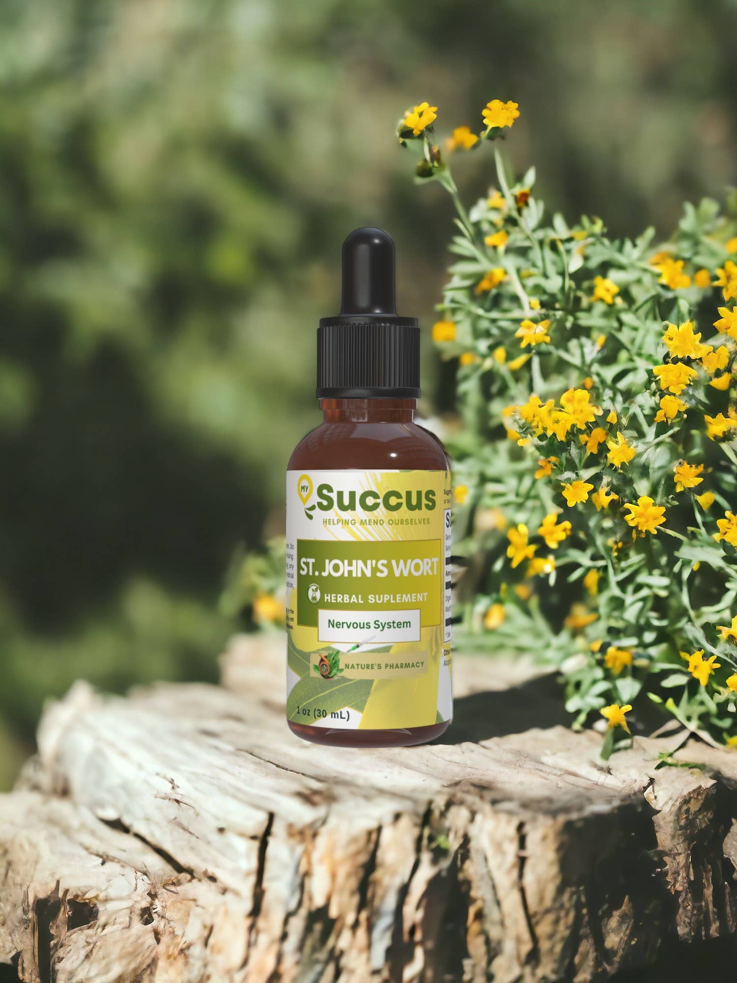 St. John's Wort Tincture - Nervous System (High Potency) : Alcohol Extract / 1 fl oz