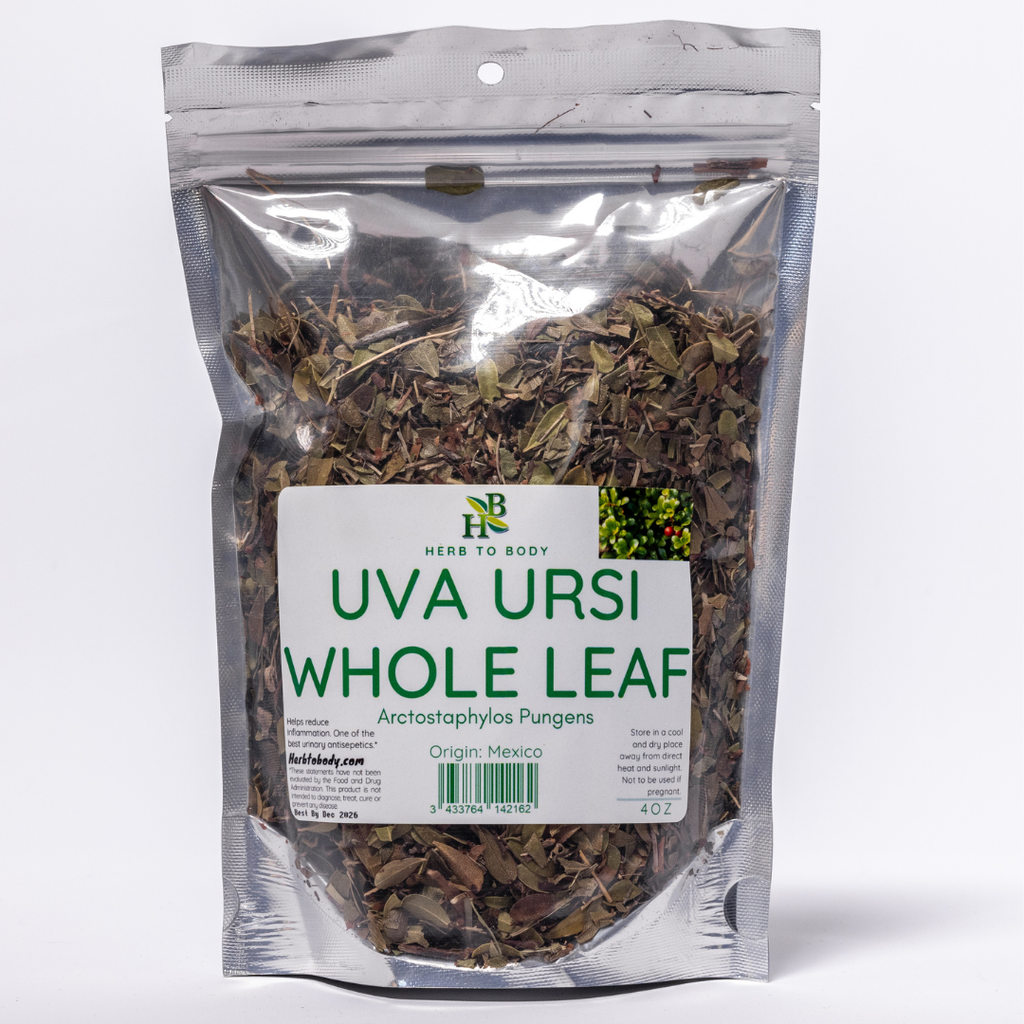 Uva Ursi Leaf | Urinary Tract, Bladder & Cleansing Support