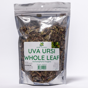 Uva Ursi Whole Leaf - Herbs