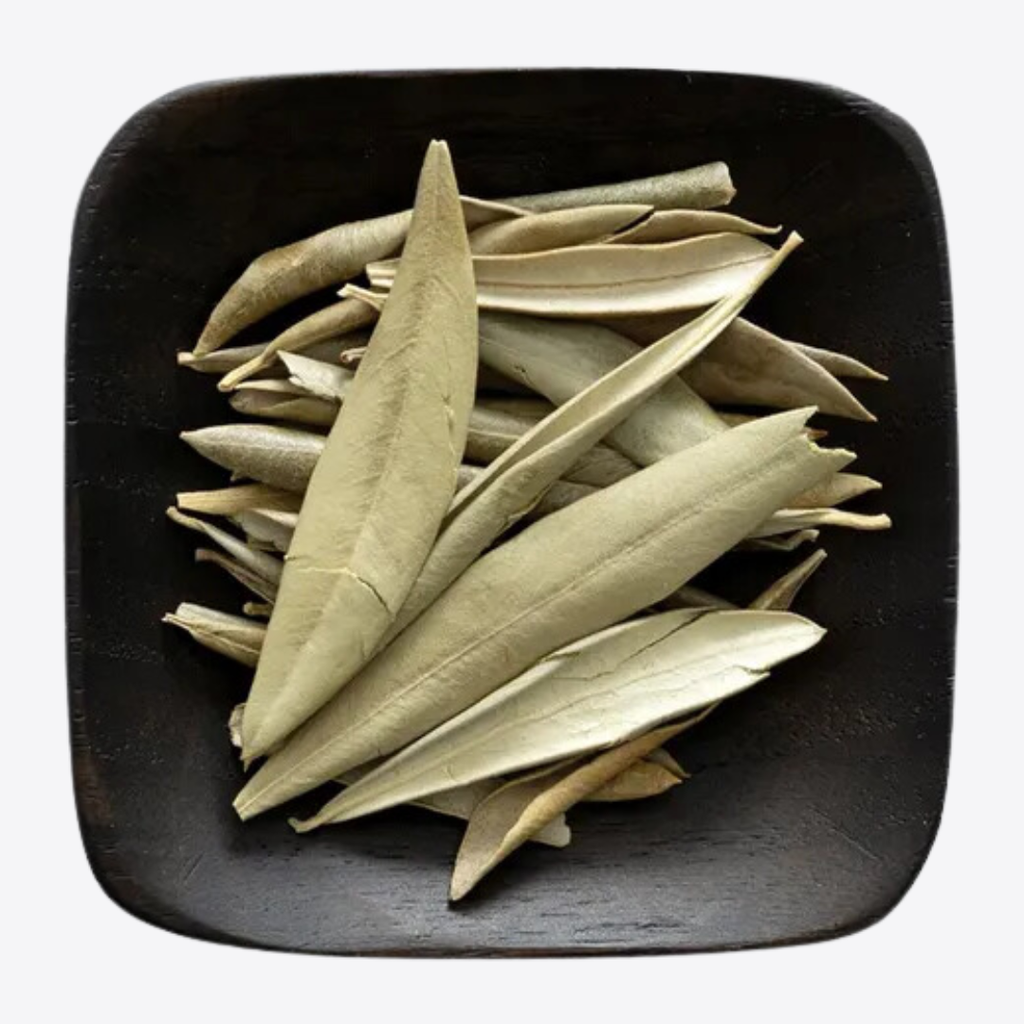 Olive Leaf (Whole)