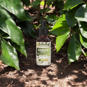 Soursop (Graviola) Tincture - Immune System (High Potency) : Alcohol Free / 1 fl oz