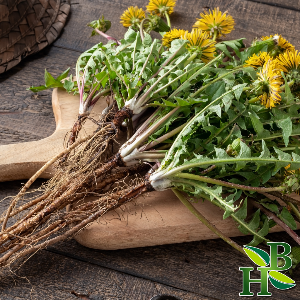 Dandelion Root | Herbal Liver, Kidney & Digestive Wellness – 4 oz