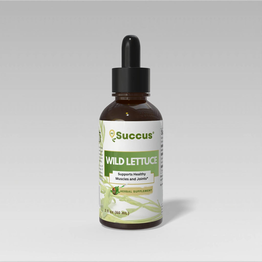 Wild Lettuce Tincture | Premium Wild Lettuce Herbal Extract: Alcohol-Free / 1 fl oz