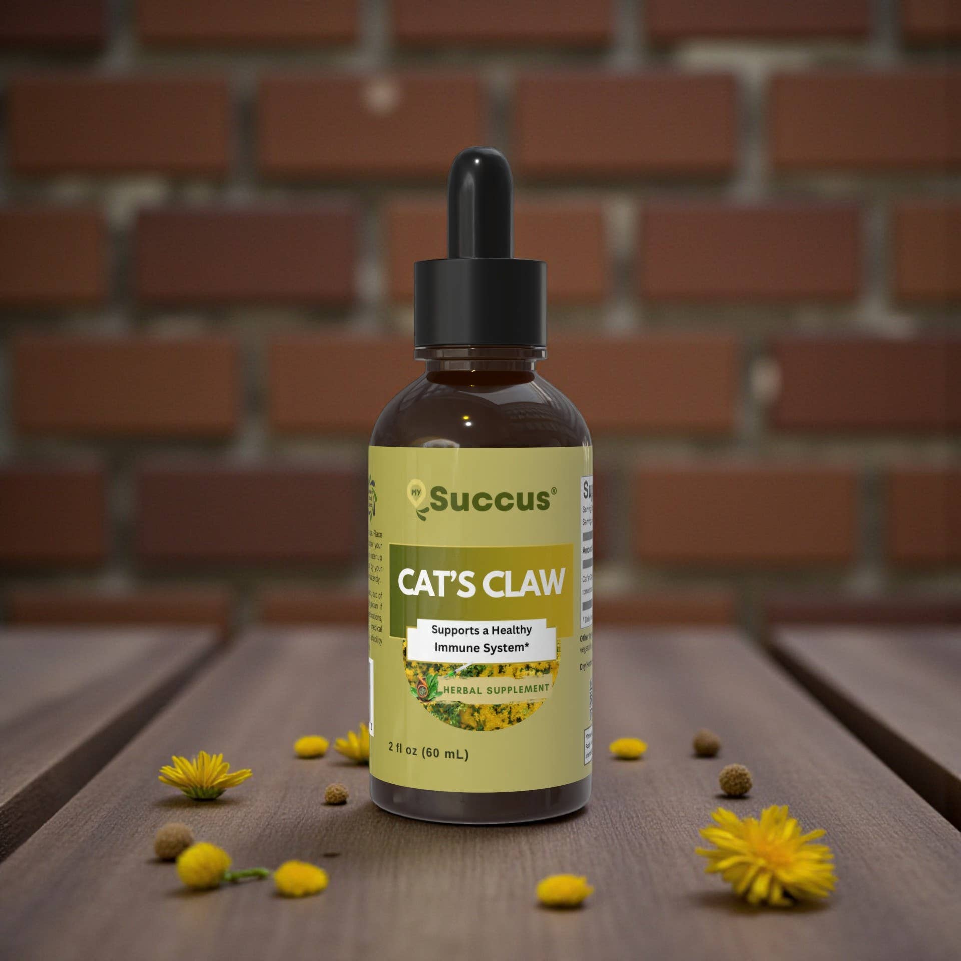 Cat's Claw Tincture - Premium Herbal Extract: Alcohol Free / 1 fl oz