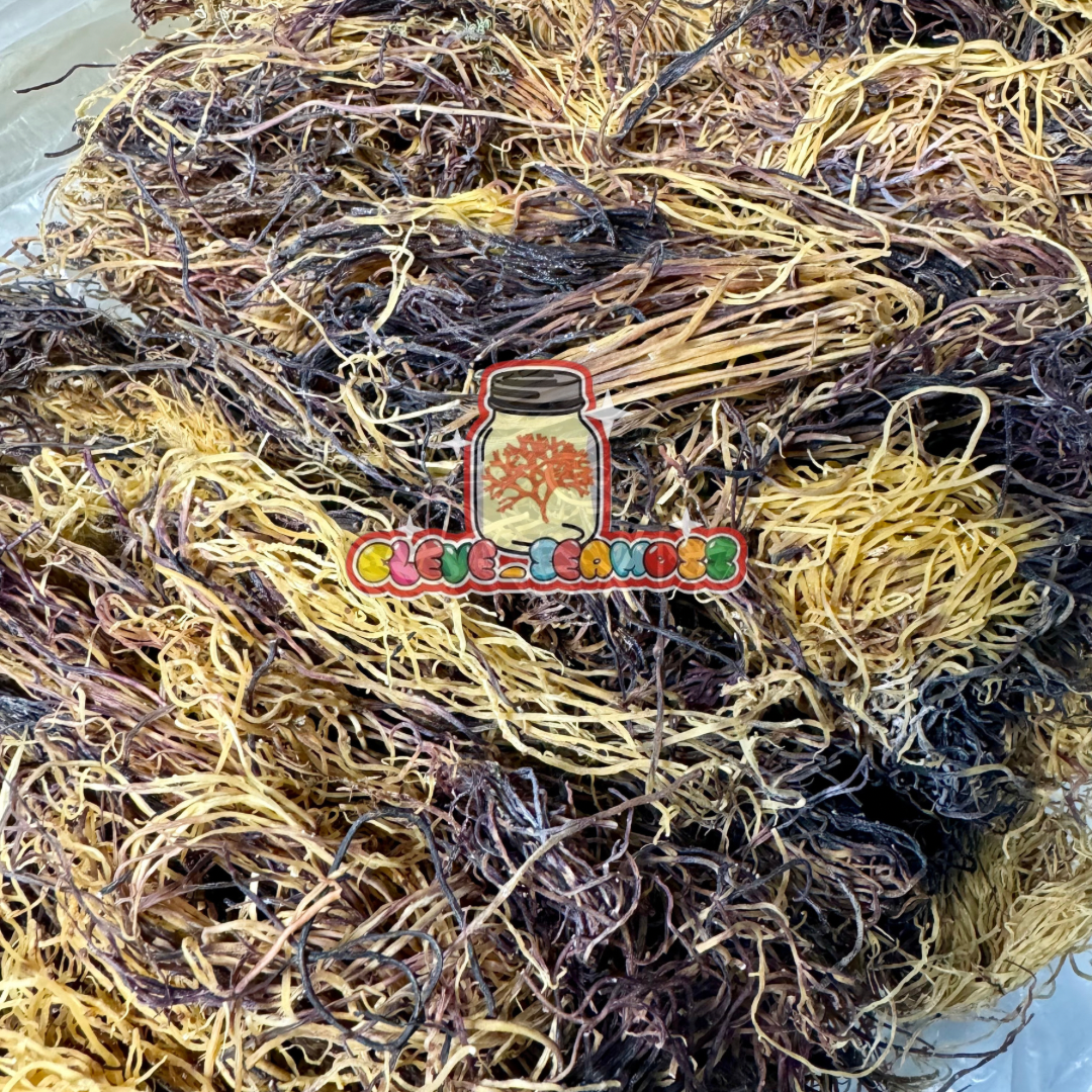 Honduran Spectrum Sea Moss | Wildcrafted