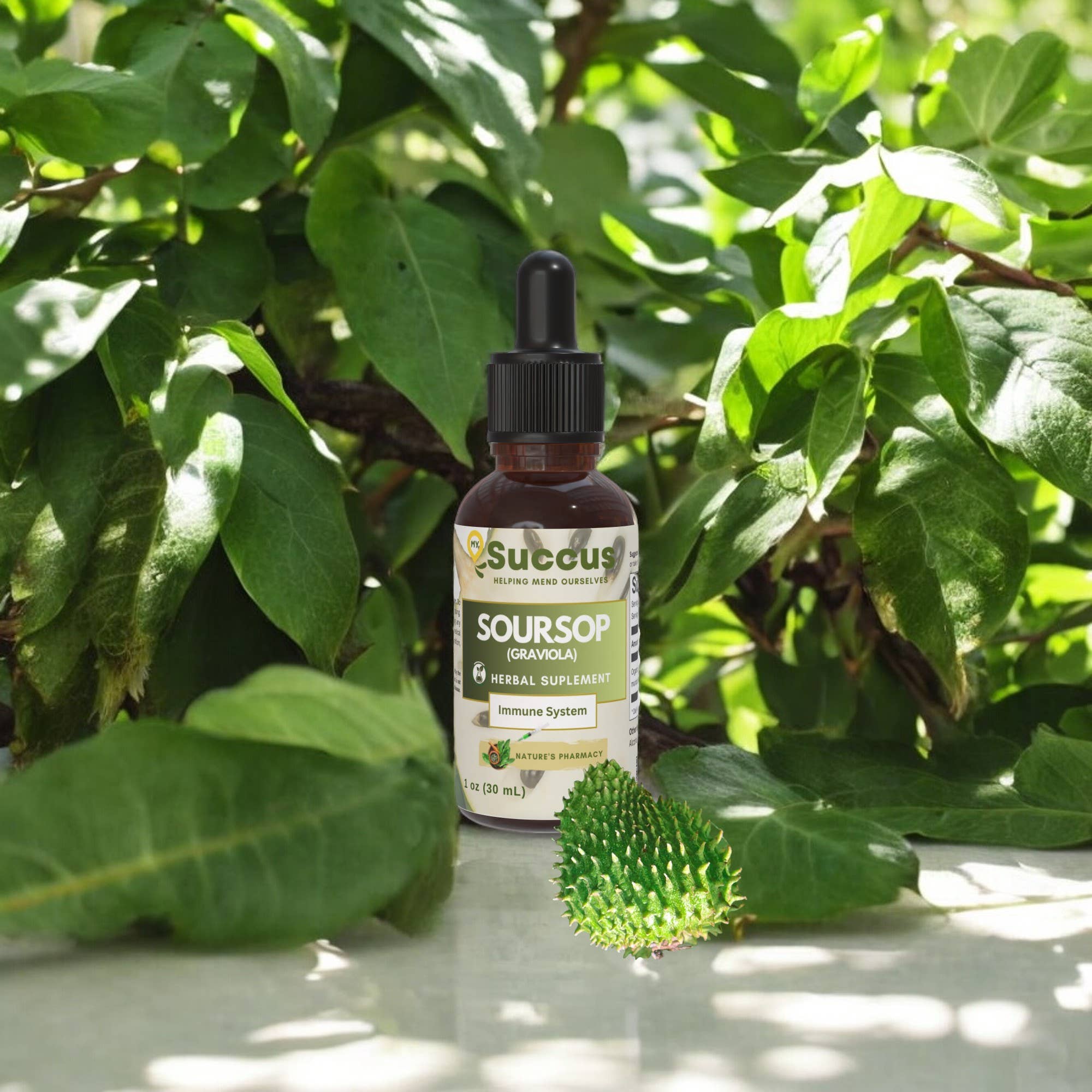 Soursop (Graviola) Tincture - Immune System (High Potency) : Alcohol Free / 1 fl oz