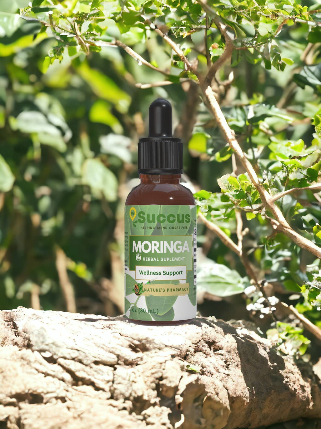 Moringa Tincture - Supports Energy & Vitality Naturally: Alcohol Free / 1 fl oz