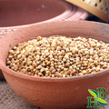 Coriander Seed (Whole) | Detoxifier | Water Retention | Water Retention | Bloating