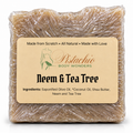 Neem & Tea Tree Soap Bar (discontinuing)