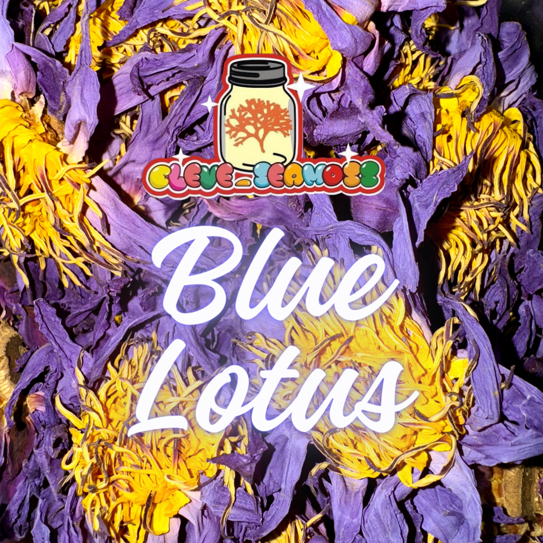 Blue Lotus Flower