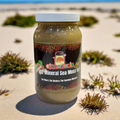 102 Mineral Sea Moss Gel | Detox, Thyroid & Gut Support (Bladderwrack + Burdock)