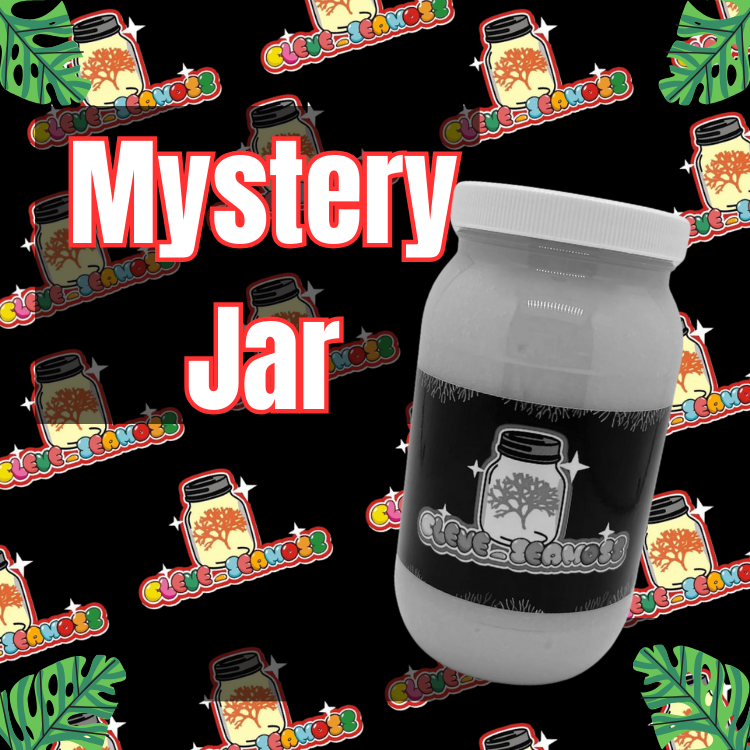 Mystery Jar