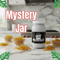 Mystery Sea Moss Gel | Surprise Flavor Experience