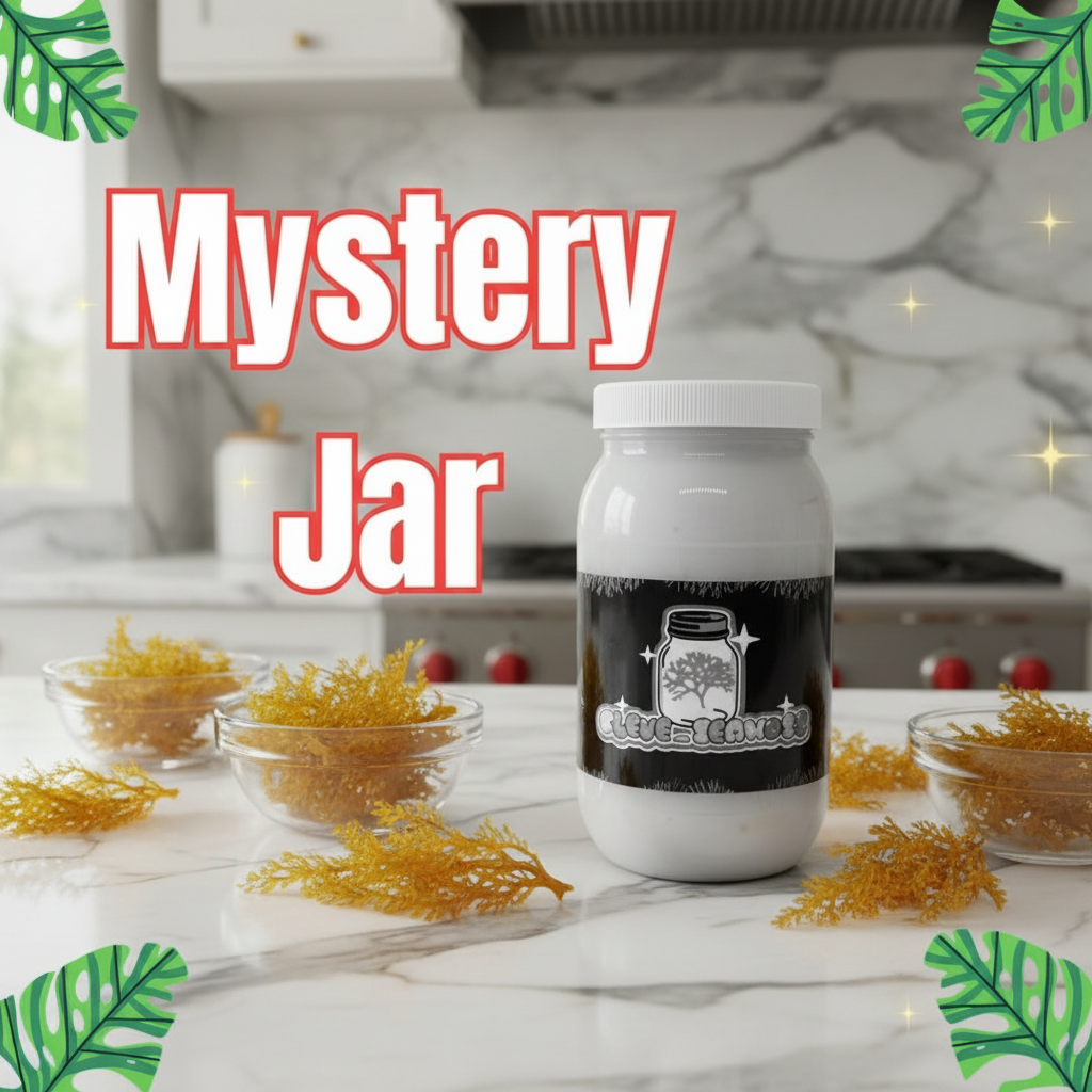 Mystery Sea Moss Gel | Surprise Flavor Experience