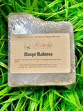 Mango Madness Soap Bar (discontinuing)