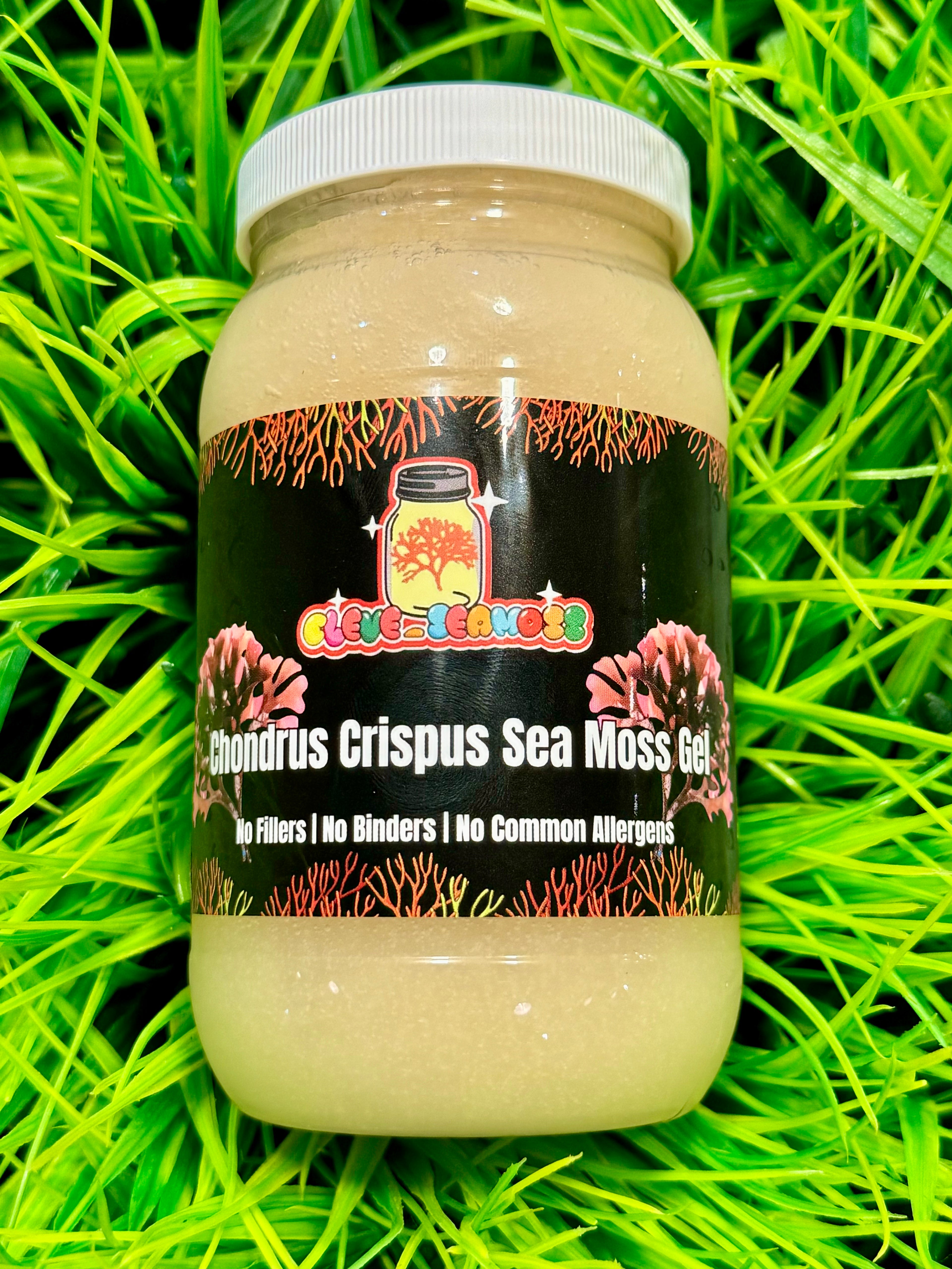 Gold Chondrus Crispus Sea Moss Gel | Not beginner friendly