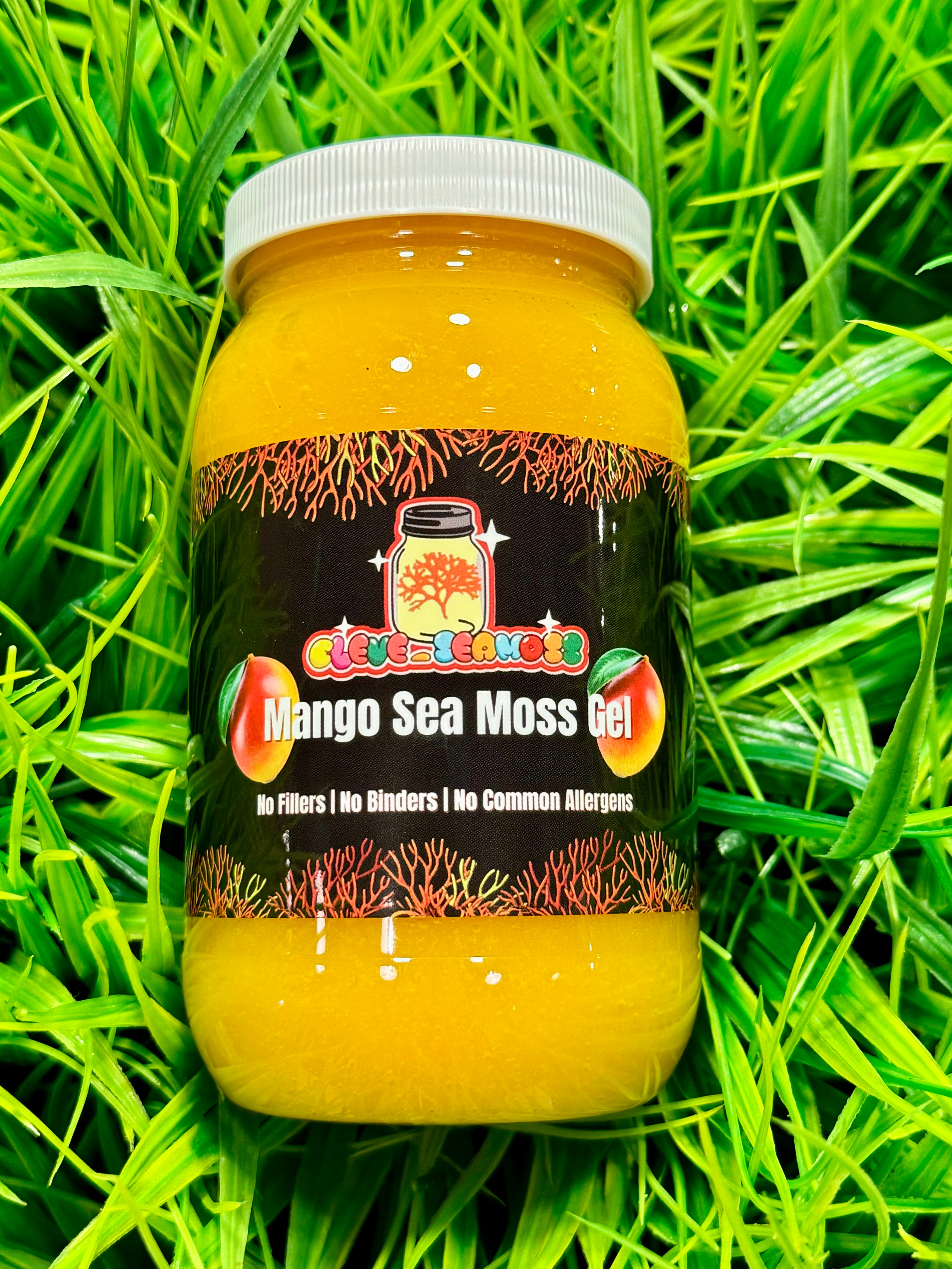 Beginner Friendly | Fresh Mango Infused Sea Moss