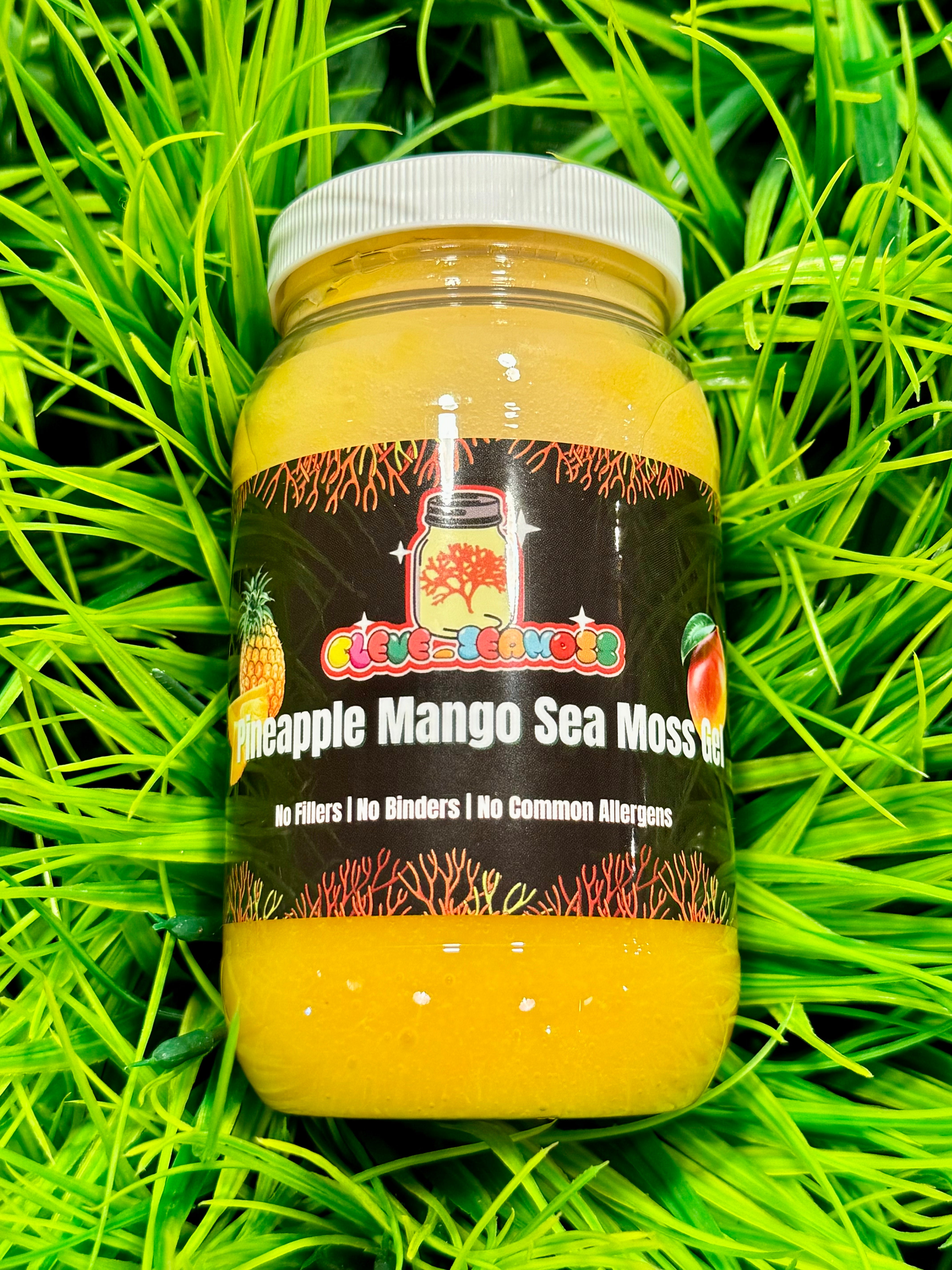 Beginner Friendly | Fresh Mango Pineapple Infused Sea Moss