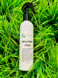 Wonder Mist (Leave In & Detangler) (discontinuing)