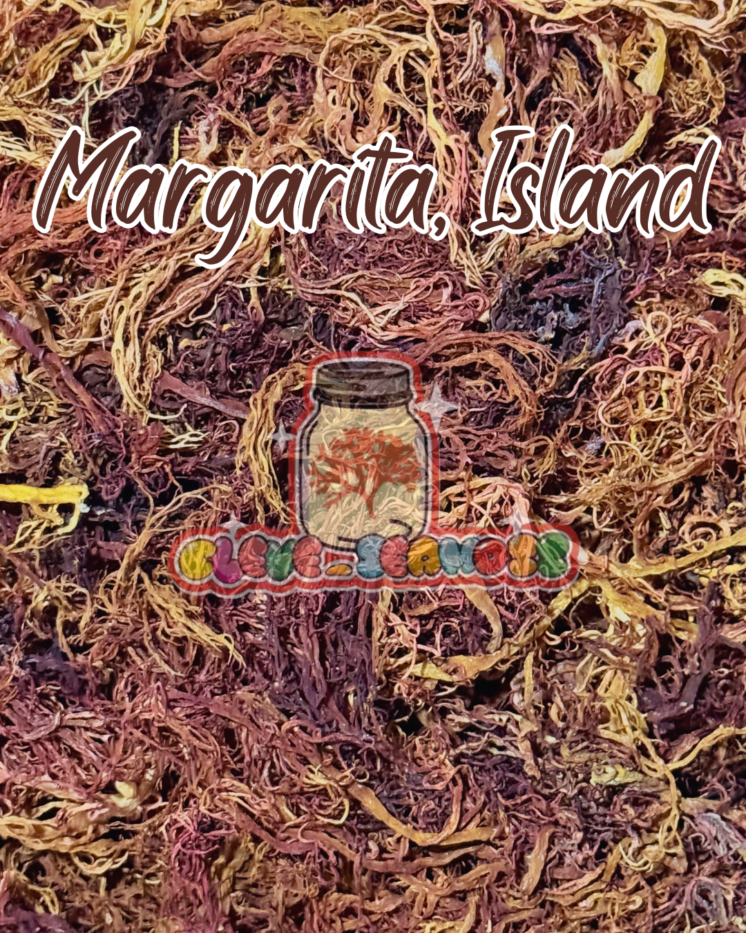 Multi Color Raw Sea Moss | Margarita Island (Venezuela) HOT BUY & Rare!!!