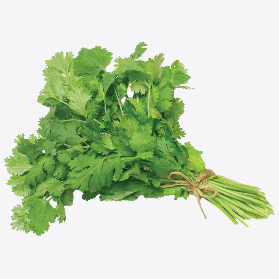 Cilantro Leaf (Cut & Sifted) — Detox & Cleansing Support