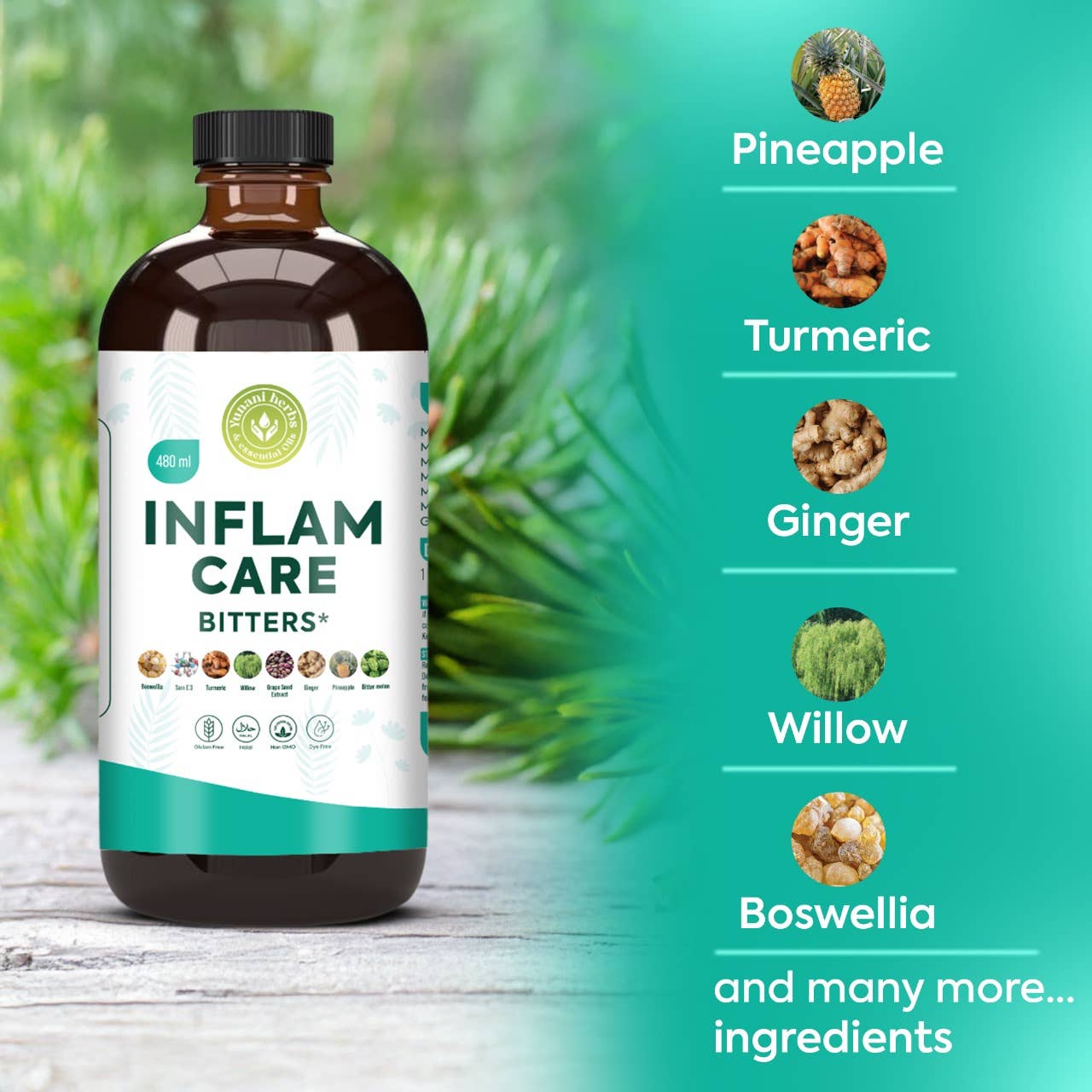 INFALM CARE Living Bitters (Inflammation | Immune | Cleanse | Digestion)