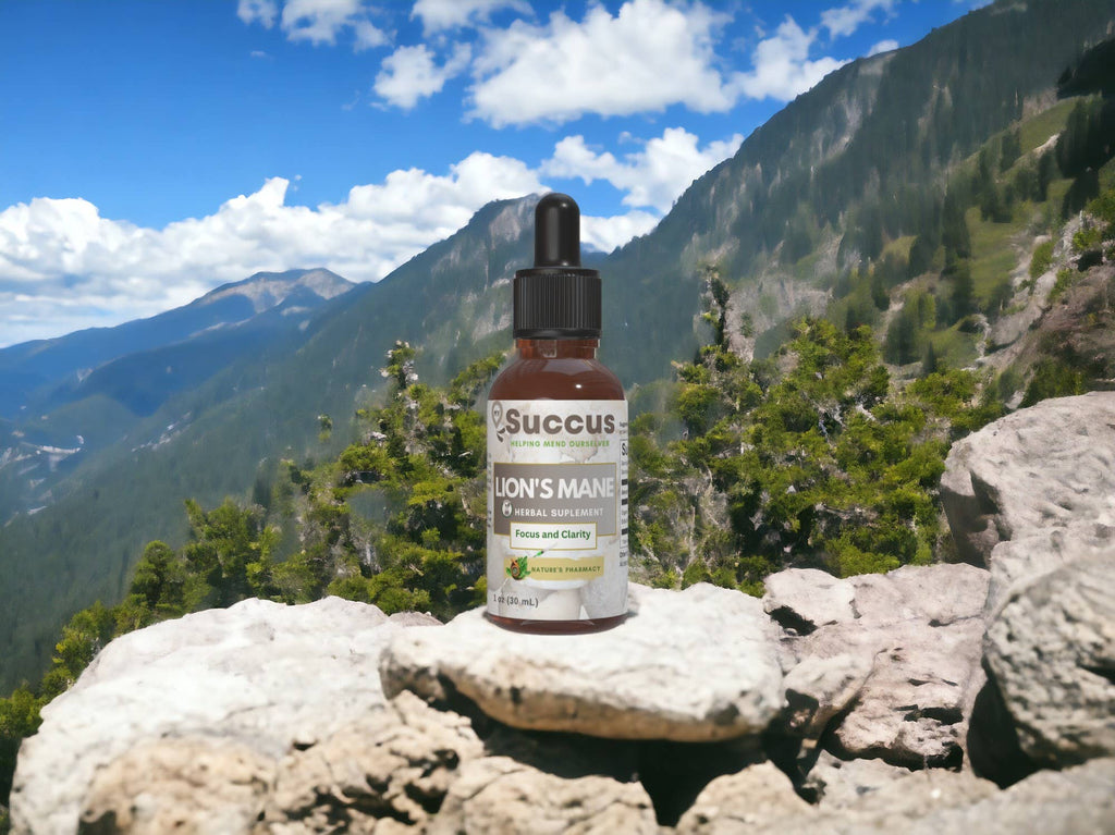 Lion's Mane Tincture - Brain Health & Mental Clarity: Alcohol Free / 1 fl oz