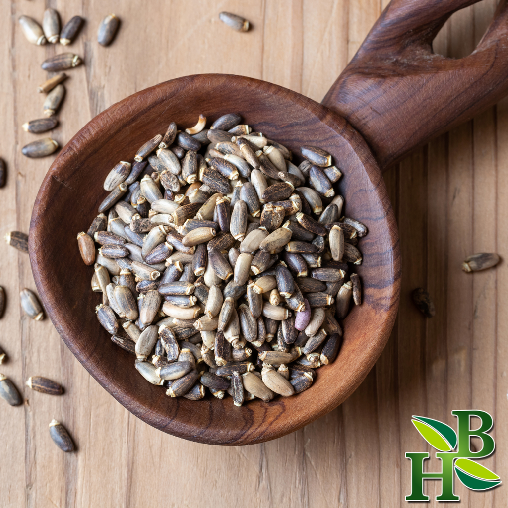 Milk Thistle Seed