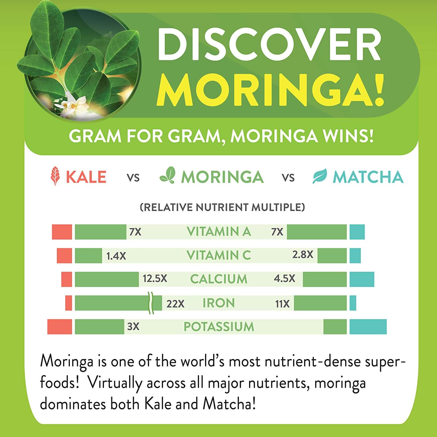 Moringa Energy Leaf Powder | Organic 1 lb. (Pouch)