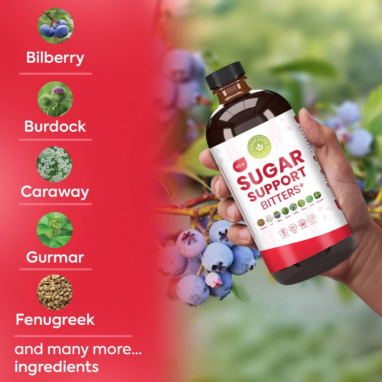 Sugar Support living bitters (Not For Beginners)