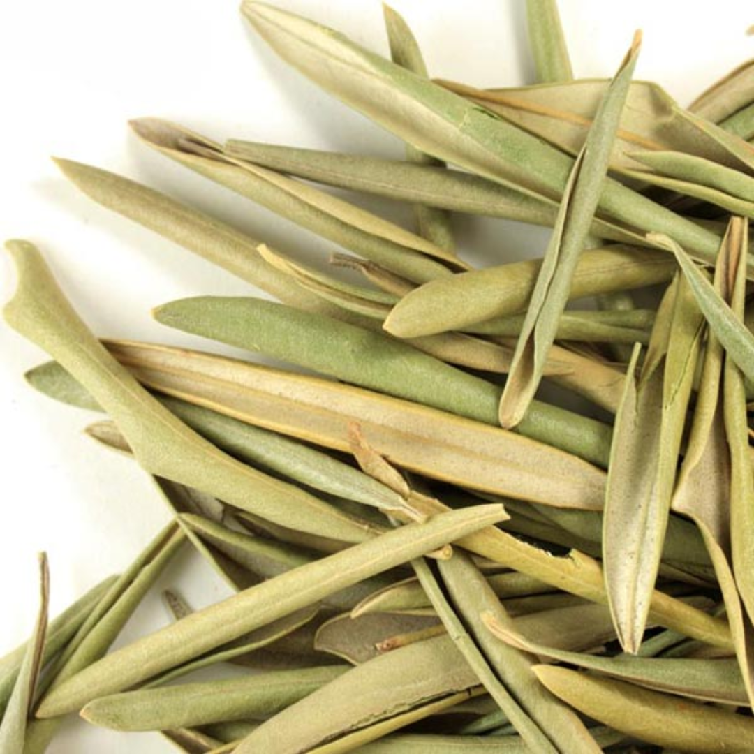 Olive Leaf (Whole)