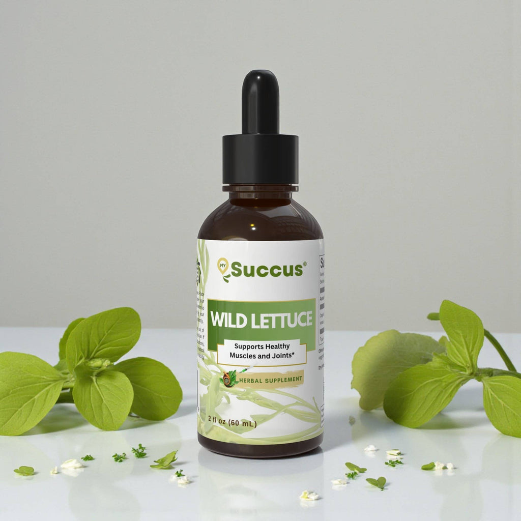 Wild Lettuce Tincture | Premium Wild Lettuce Herbal Extract: Alcohol-Free / 1 fl oz