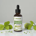 Wild Lettuce Tincture | Premium Wild Lettuce Herbal Extract: Alcohol-Free / 1 fl oz