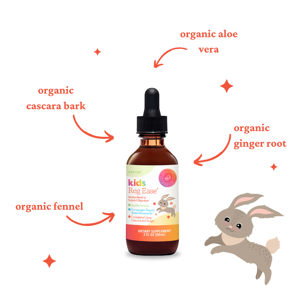 Kids Reg Ease – Gentle Herbal Bowel & Regularity Support | 2 oz
