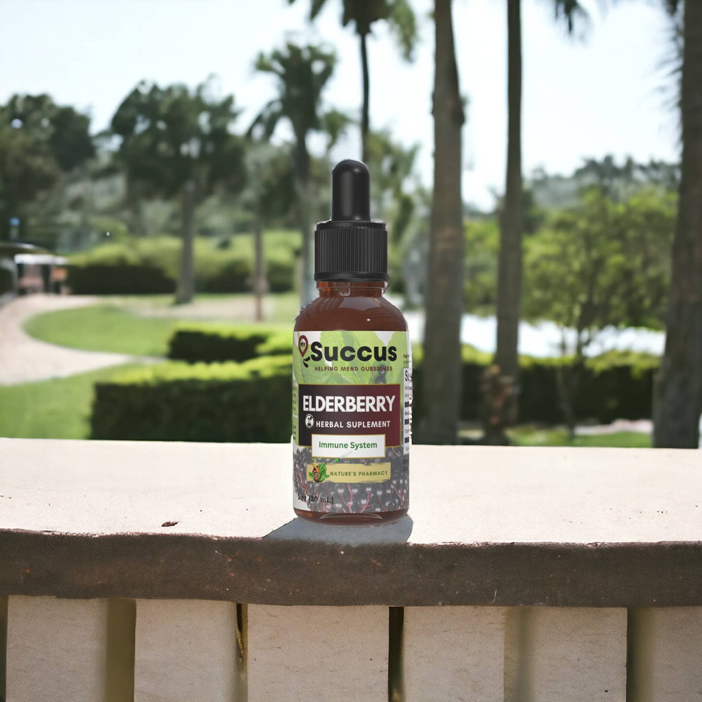 Elderberry Tincture - Herbal Support for Immune Wellness: Alcohol Free / 1 fl oz
